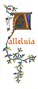 PACK TEMPS FORTS SI23 10EX