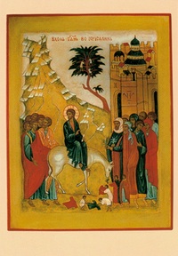 PACK ENTREE DU CHRIST A JERUSALEM A057 10EX