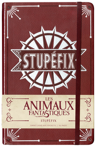 CARNET GRAND FORMAT STUPEFIX