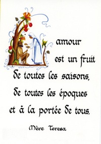 PACK ENLUMINURE AN314 10EX