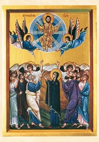 PACK ASCENSION A272 10EX