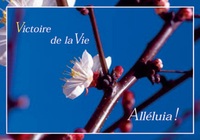 PACK CARTES PAQUES PENTECOTE CJ45 10EX