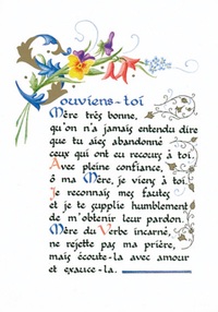 PACK ENLUMINURE AN201 10EX