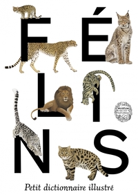 Félins - Petit dictionnaire illustré