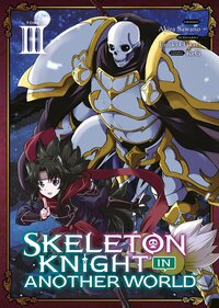 Skeleton Knight in Another World