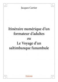 Itinéraire numérique d’un formateur d’adultes ou le voyage d'un saltimbanque funambule