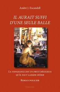 Il aurait suffi d'une seule balle