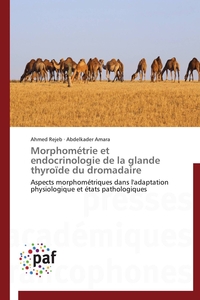 Morphométrie et endocrinologie de la glande thyroïde du dromadaire