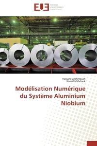 Modélisation Numérique du Système Aluminium Niobium