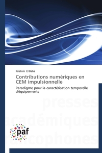 Contributions numériques en cem impulsionnelle