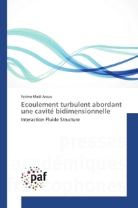 Ecoulement turbulent abordant une cavité bidimensionnelle