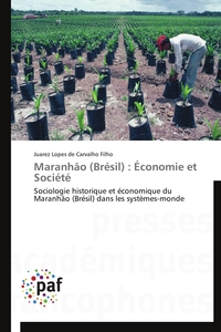 Maranhão (brésil) : économie et société