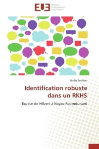 Identification robuste dans un rkhs
