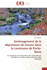 Aménagement de la dépression de Zounvi dans la commune de Porto-Novo