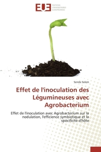 Effet de l'inoculation des légumineuses avec agrobacterium