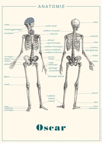 AFFICHE "ANATOMIE" - 50 X 70 CM