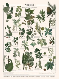 AFFICHE "ARBRES" - 50 X 70 CM