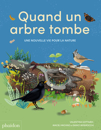 Quand un arbre tombe