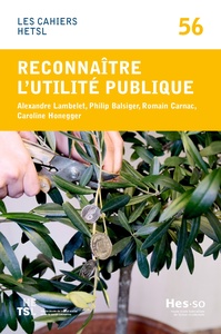 Reconnaître l'utilité publique. Parlementaires et personnel des administrations fiscales face à la philanthropie en Suisse