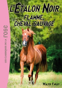 L'ETALON NOIR - T10 - L'ETALON NOIR 10 - FLAMME, CHEVAL SAUVAGE