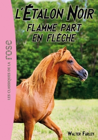 L'ETALON NOIR - T12 - L'ETALON NOIR 12 - FLAMME PART EN FLECHE