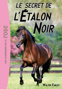 L'ETALON NOIR - T09 - L'ETALON NOIR 09 - LE SECRET DE L'ETALON NOIR