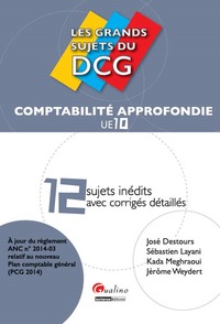 les grands sujets du dcg 10 - comptabilité approfondie