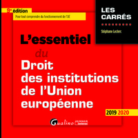 L'ESSENTIEL DU DROIT DES INSTITUTIONS DE L'UNION EUROPEENNE