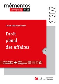 Droit pénal des affaires