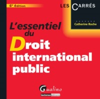 L'ESSENTIEL DU DROIT INTERNATIONAL PUBLIC 2015 - 6ÈME ÉDITION