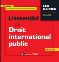 L'ESSENTIEL DU DROIT INTERNATIONAL PUBLIC - 9EME EDITION