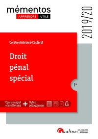 DROIT PENAL SPECIAL