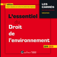 L'ESSENTIEL DU DROIT DE L'ENVIRONNEMENT - INTEGRE LES DISPOSITIONS DE LA LOI DU 24 JUILLET 2019 PORT