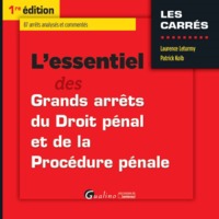L'ESSENTIEL DES GRANDS ARRÊTS DE DROIT PÉNAL ET DE PROCÉDURE PÉNALE  2016-2017