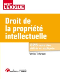 DROIT DE LA PROPRIETE INTELLECTUELLE 2EME EDITION