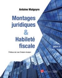 MONTAGES JURIDIQUES ET HABILETÉ FISCALE
