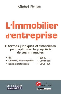 L'IMMOBILIER D'ENTREPRISE - 6 FORMES JURIDIQUES ET FINANCIERES POUR OPTIMISER LA PROPRIETE DE VOS IM