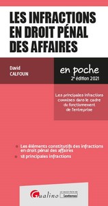 LES INFRACTIONS EN DROIT PENAL DES AFFAIRES - UNE PRESENTATION DES PRINCIPALES INFRACTIONS COMMISES