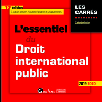 L'ESSENTIEL DU DROIT INTERNATIONAL PUBLIC