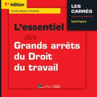 L'ESSENTIEL DES GRANDS ARRÊTS DU DROIT DU TRAVAIL 2016-2017