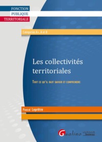 LES COLLECTIVITÉS TERRITORIALES