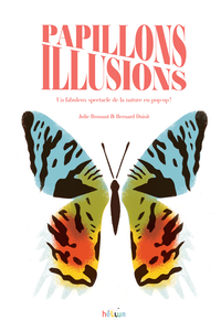 Papillons Illusions