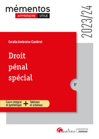 DROIT PENAL SPECIAL - COURS INTEGRAL ET SYNTHETIQUE + TABLEAUX ET SCHEMAS