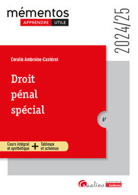 DROIT PENAL SPECIAL - COURS INTEGRAL ET SYNTHETIQUE + TABLEAUX ET SCHEMAS