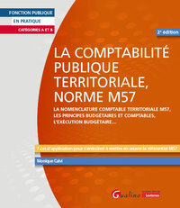 LA COMPTABILITE PUBLIQUE TERRITORIALE, NORME M57 - LA NOMENCLATURE COMPTABLE TERRITORIALE M57, LES P