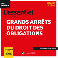 L'essentiel des grands arrêts du droit des obligations