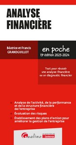 ANALYSE FINANCIERE - TOUT POUR REUSSIR UNE ANALYSE FINANCIERE OU UN DIAGNOSTIC FINANCIER