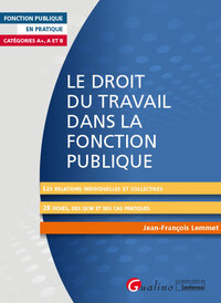 LE DROIT DU TRAVAIL DANS LA FONCTION PUBLIQUE - LES RELATIONS INDIVIDUELLES ET COLLECTIVES - 28 FICH