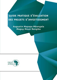 Guide pratique d’évaluation des projets d’investissement