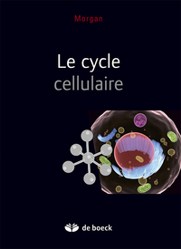 LE CYCLE CELLULAIRE